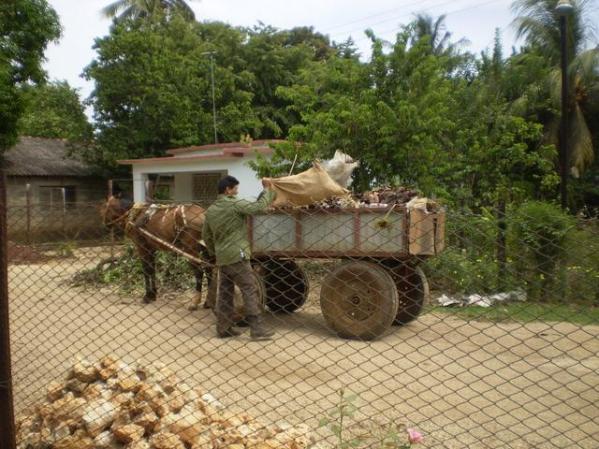 Recogida de Basura en mi Pueblo