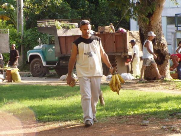 Feria del Agro.