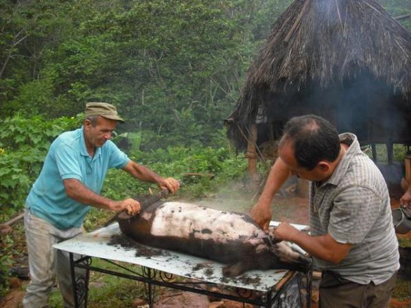 como estos dias no hay otros.