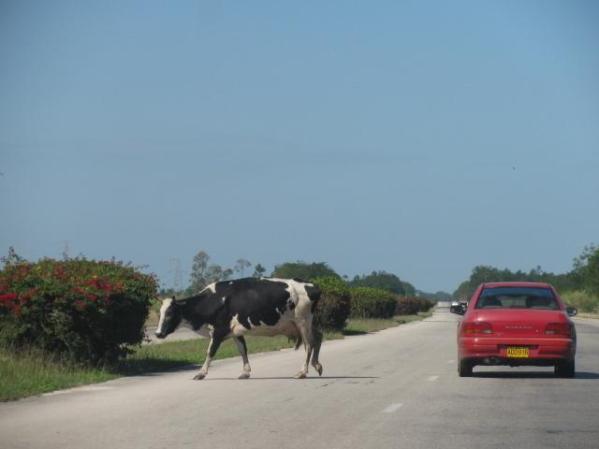 visitante en la ocho via rumbo habana