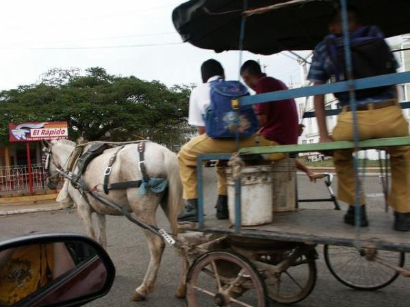 tranporte de el pueblo de cardenas