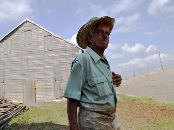 24 DE FEBRERO, 2009: Un cultivador de tabaco, en la provincia de Pinar del Río.