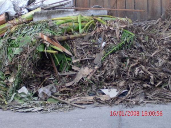 el basurero de camaguey en las calles
