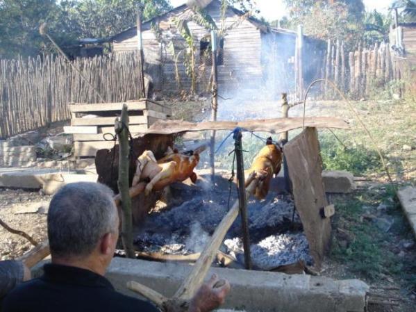 Mi lindo camaguey y mi familia
