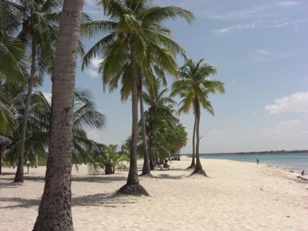 camaguey