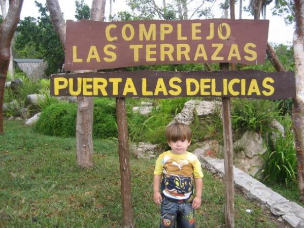 entrada de las terrazas