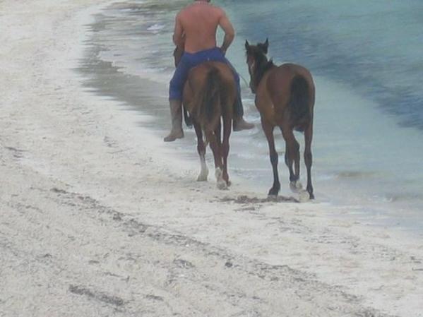 Playa Santa Lucia, Camaguey