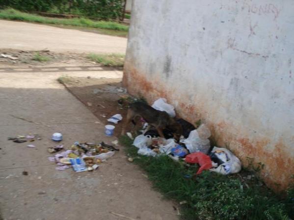 reparto de mulgoba en provincia habana.