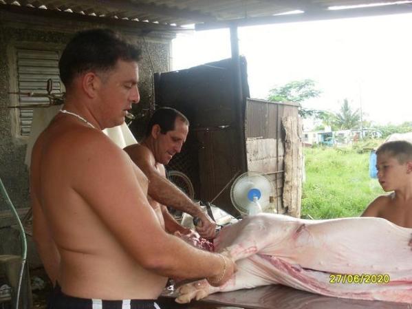 en casa de unos amigos en palmira matando un puerco