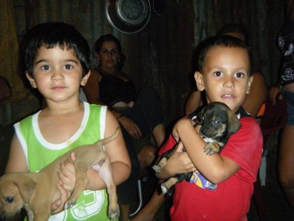 el titi con todos los perro q se encontraba