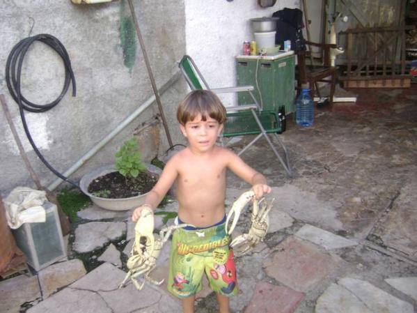 los cangrejos de caibarien