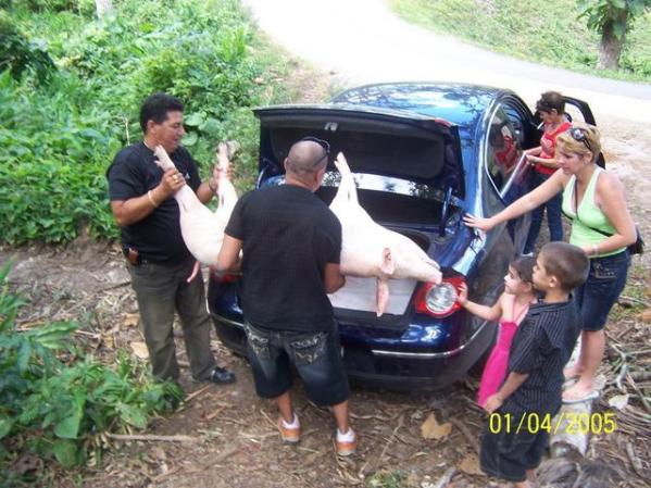 mi esposo de visita en cuba comprando cochinos artemisa.