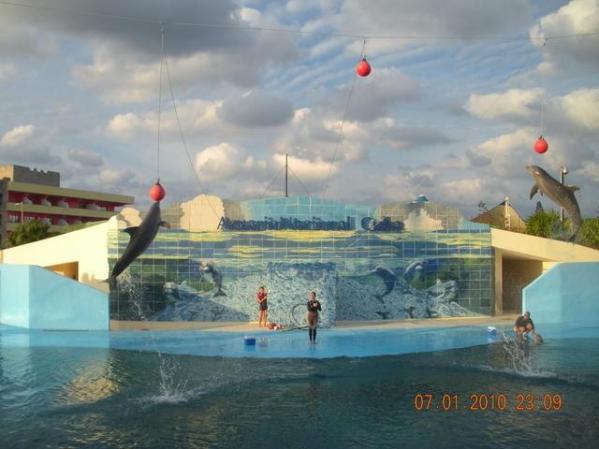 acquarium de cuba l'avana