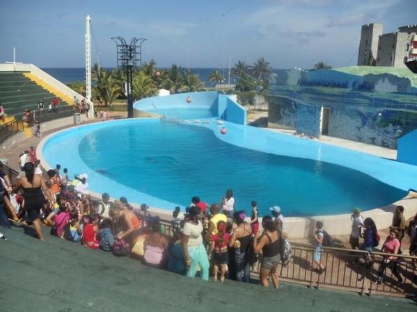 el acuario