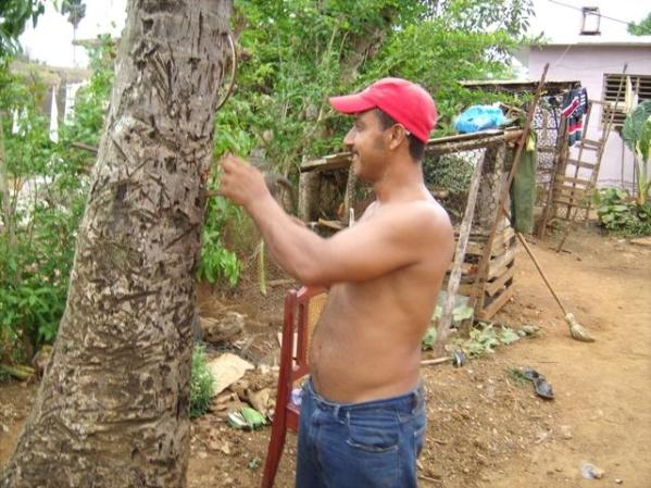 mi viaje a niquero