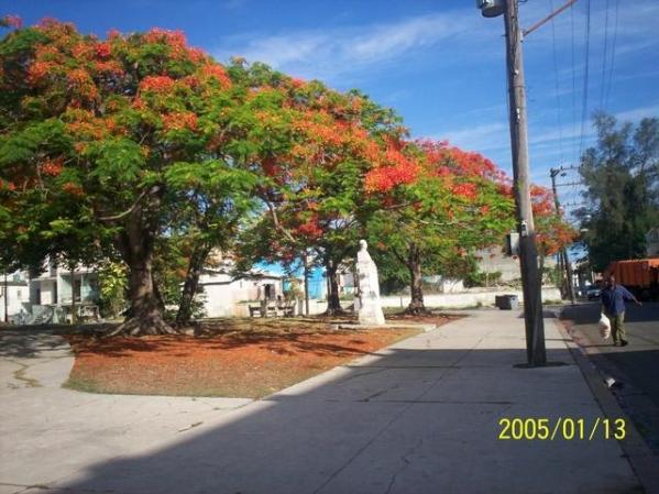 Parque Tulipan. Cerro