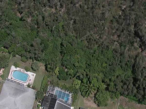 La policía había encontrado unas horas antes el cadáver de Belmonte en una zona boscosa y pantanosa.