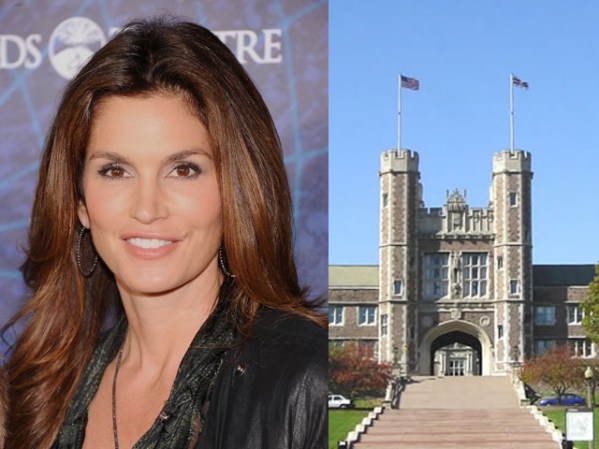 Cindy Crawford estudió Ingeniería Química en Northwestern University.