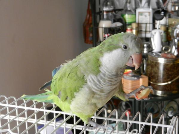 esperando a isaac coqui, <br /> ¿Quieres compartir fotos como estas? Hazlo aquí <br />