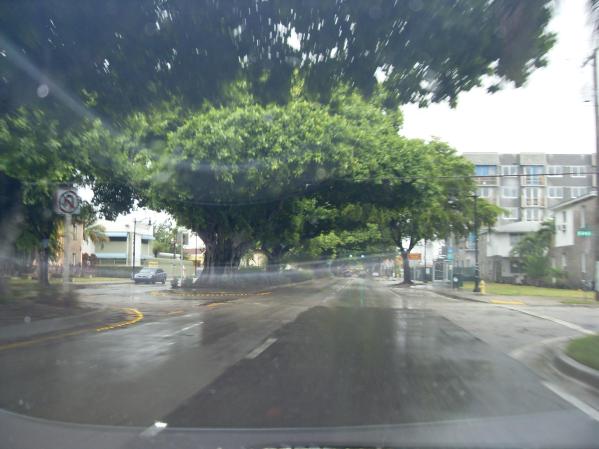 coral way. <br /> ¿Quieres compartir fotos como estas? Hazlo aquí <br />