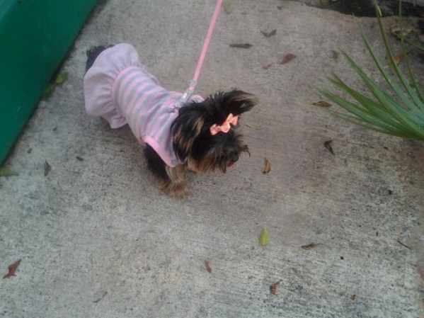 Princesa