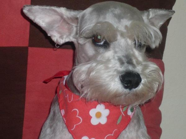 Susy