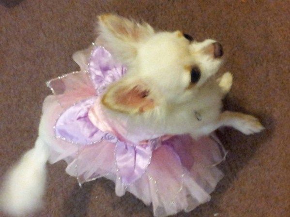 Pequeña princesa.
