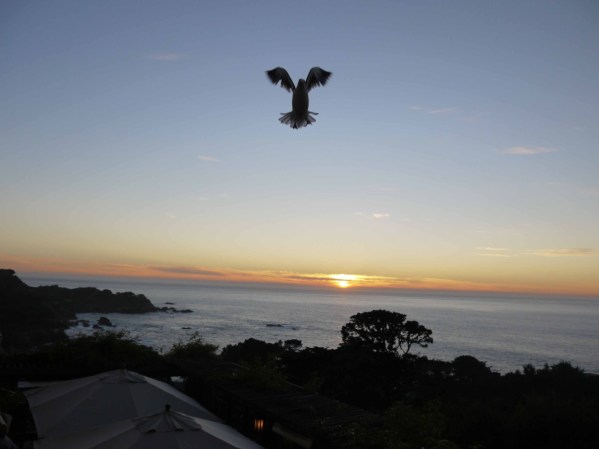 Carmel, California: Esta ciudad es tranquila, preciosa y encantadora.