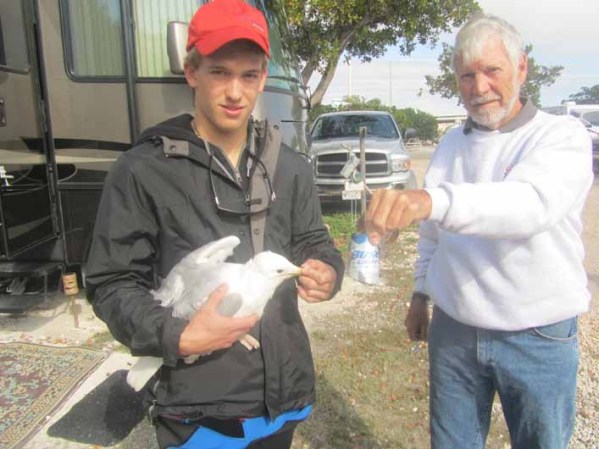 "Esto fue hecho a propósito", dijo a la televisión local, la directora de Florida Keys Wildlife Rescue, Maya Totman. "Quien quiera que lo hizo es un enfermo".