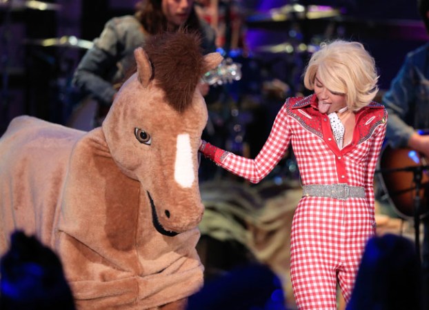 Le cantó al caballo que era sexy, y que quería hacer cosas con él.