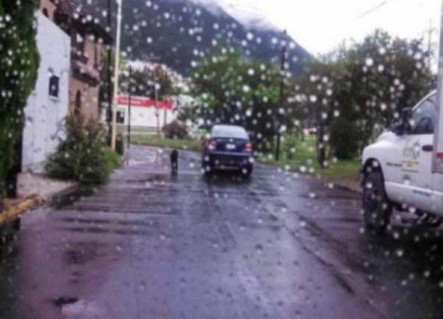 Un habitante de Monterrey, México, salió supuestamente a pasear a su perro. Se subió a su automóvil mientras sostenía al perro con una correa a través de la ventana del conductor.