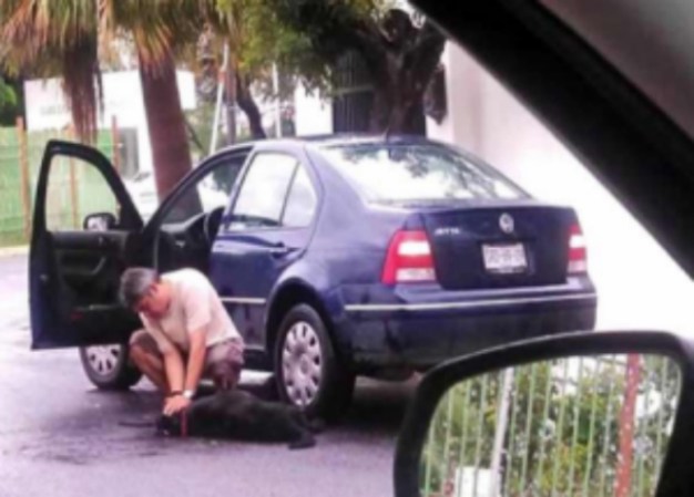 Otros conductores debieron avisar al dueño que había atropellado a su perro. En una de las imágenes, se ve al conductor fuera de su vehículo asistiendo a su perro. Las imágenes circulan en los medios sociales. Telemundo no ha logrado verificar su autenticidad.