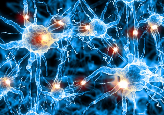Lleno de complicados circuitos de neuronas que te hacen ser quien eres.
