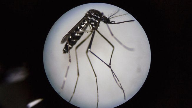 Confirman primer caso de microcefalia asociado al zika en México