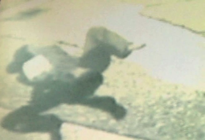 El momentó de pánico los llevó desesperadamente a saltar.