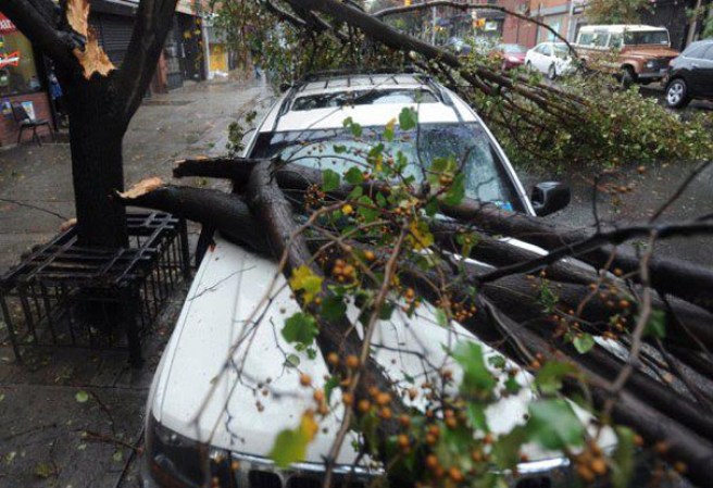 Bronx. Estas son las fotos que envían nuestros lectores vía facebook o Telemundo47.com. <br /><br />¡Haz clic aquí para mandar tus fotos de Sandy