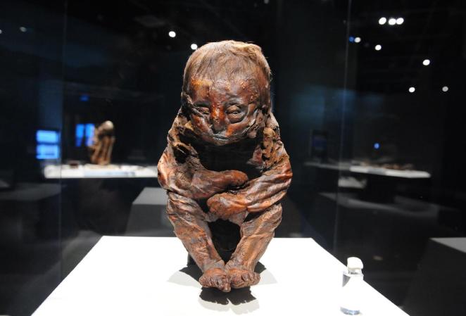 El Niño Detmold es una momia de un infante increíblemente bien preservada y se cree data del año 4500 antes de Cristo. Es tres mil años más antigua que la momia del Rey Tut.