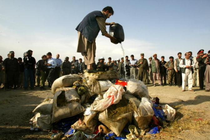 Droga quemada en Afganistán.Los destinos de esta ruta son Asia Central y Rusia y se estima que por allí transita el 25% de la heroína afgana, unas95 toneladas, 70 son consumidas en Rusia y 11 en Asia Central.