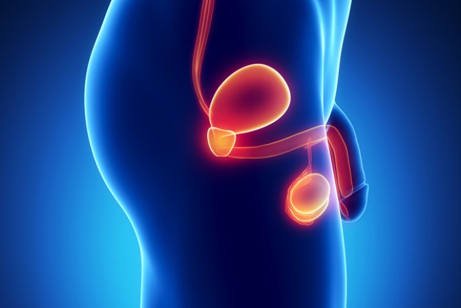 Aunque los hombres hispanos tienen menos probabilidad de tener cáncer de próstata en comparación con los hombres blancos no hispanos…