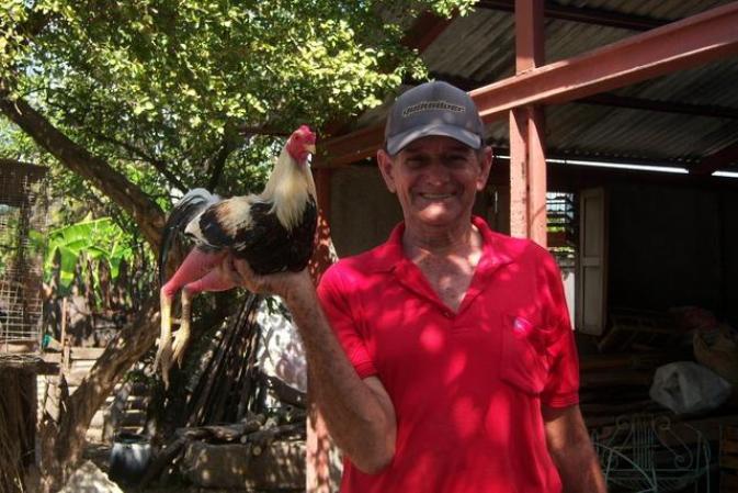 mi tio con su gallo giro