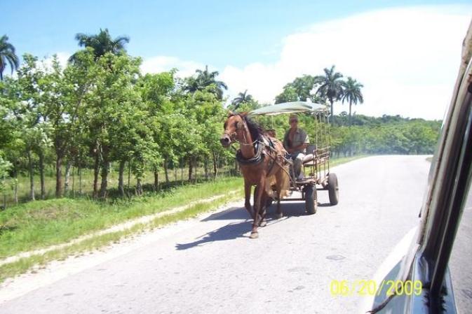 paisaje cubano-meneses-yaguajay