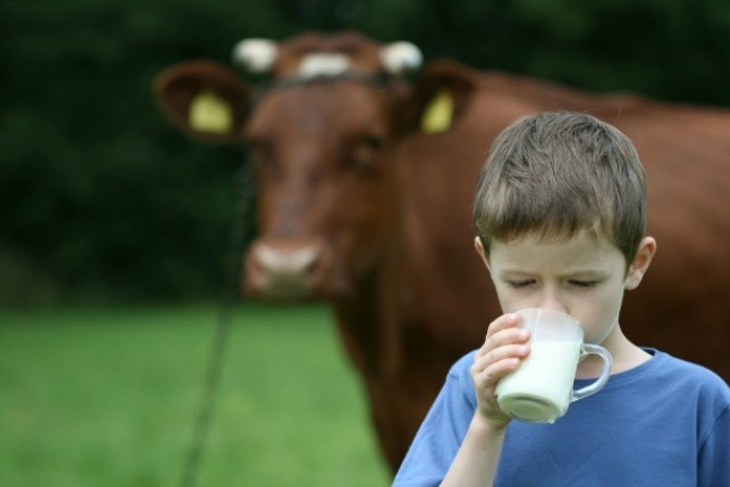 Algunos estudios, según los especialistas, muestran que la leche de vaca disminuye el pH de la sangre (acidez), pudiendo provocar la salida del calcio de los huesos hacia la sangre, lo cual se asocia con la aparición de piedras y cálculos renales.