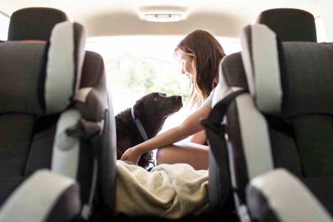 Duke: el perro con cáncer que inundó las redes con lágrimas.