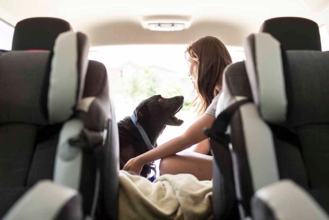 Duke: el perro con cáncer que inundó las redes con lágrimas.