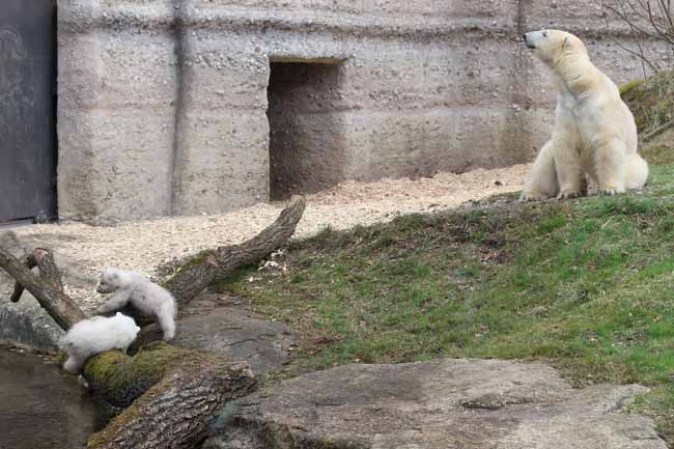 Los inquilinos más tiernos del zoológico.