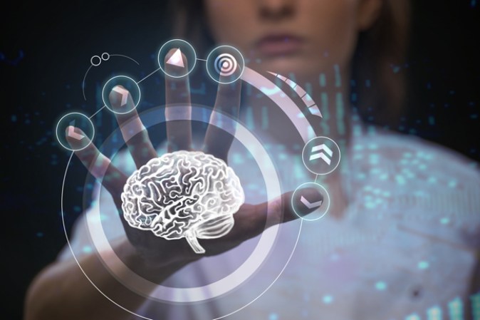Sus altos niveles de antioxidantes que evitan el deterioro del cerebro.