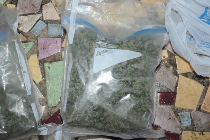 Dentro de la casa : lo que parece ser la parafernalia de drogas en la cama, bolsas de marihuana , botellas de licor, dinero, un arma de fuego y montones de basura . Poco o nada de comida podría ser visto en el refrigerador y una pequeña cama en la habitación de una niña.