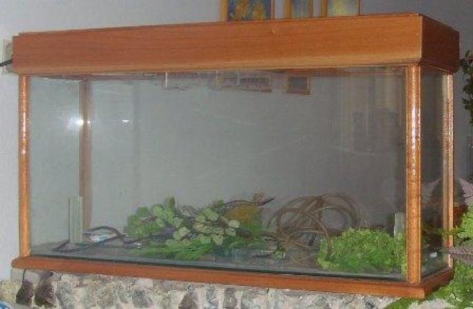Pecera. Precio: 50 cuc