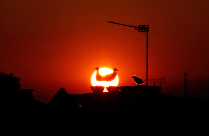 Puesta de sol en Londres.