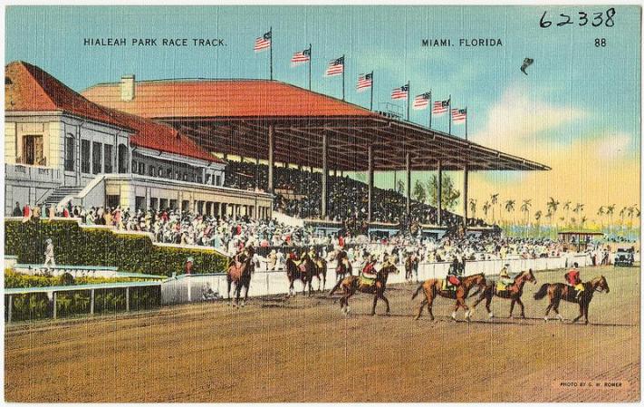Uno de los puntos más famosos de Hialeah es el Hialeah Park, abierto en 1925, y en el que desde entonces se han realizado carraras de caballos. Este hipódromo ha recibido visitas de gente muy famosa como la familia Kennedy, Harry Truman y Winston Churchill, por mencionar sólo a algunos.